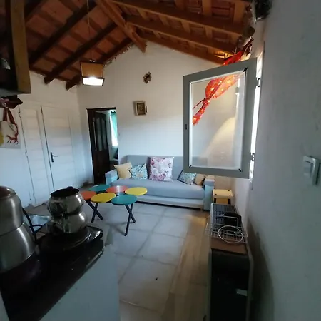 Private In 80 Acres Land Villa